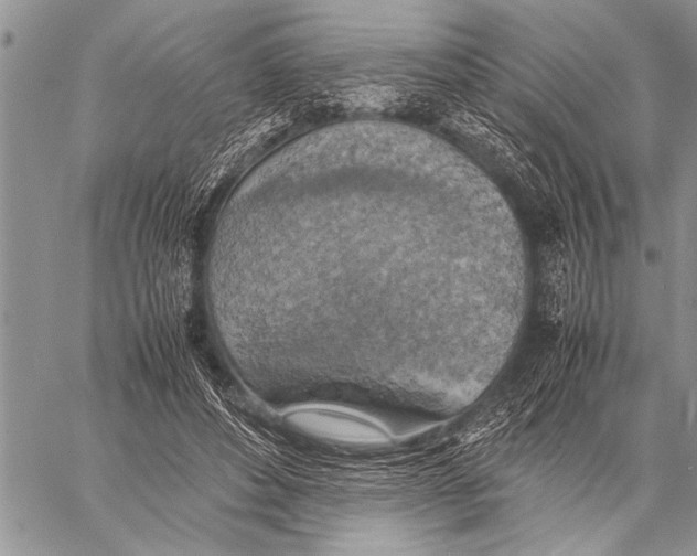 X0000058130496200510171340