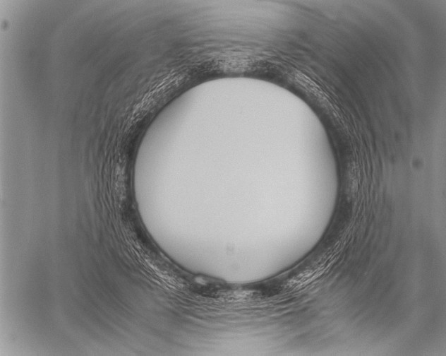 X0000058130497200510171340