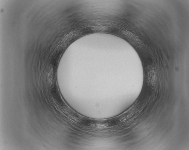 X0000058130498200510171340