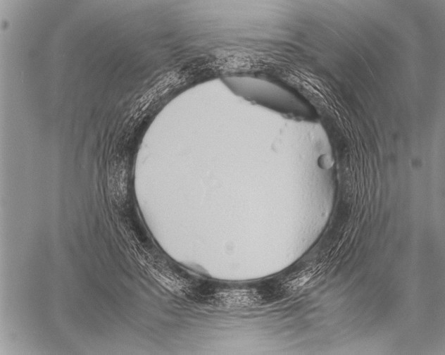 X0000058130499200510171340