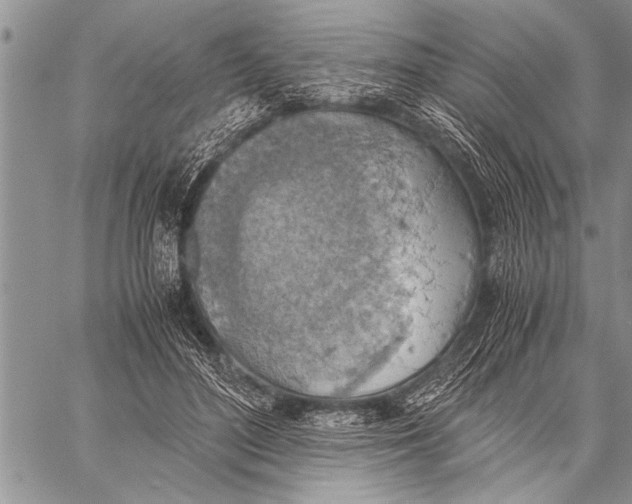 X0000058130500200510171340