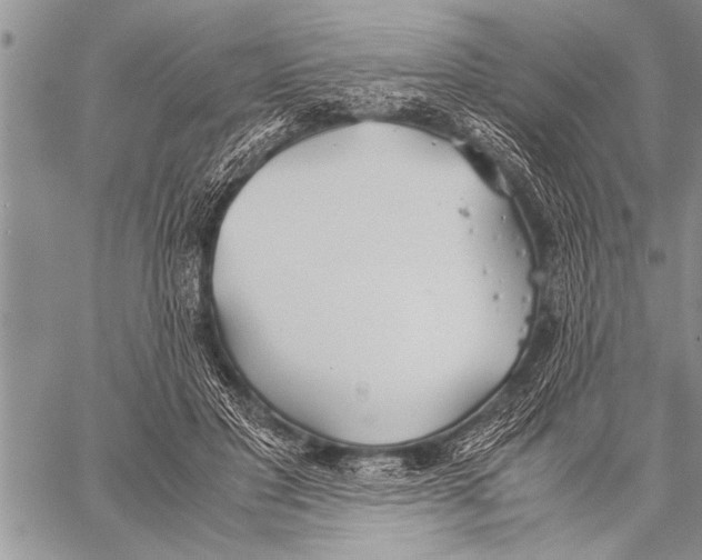 X0000058130501200510171340