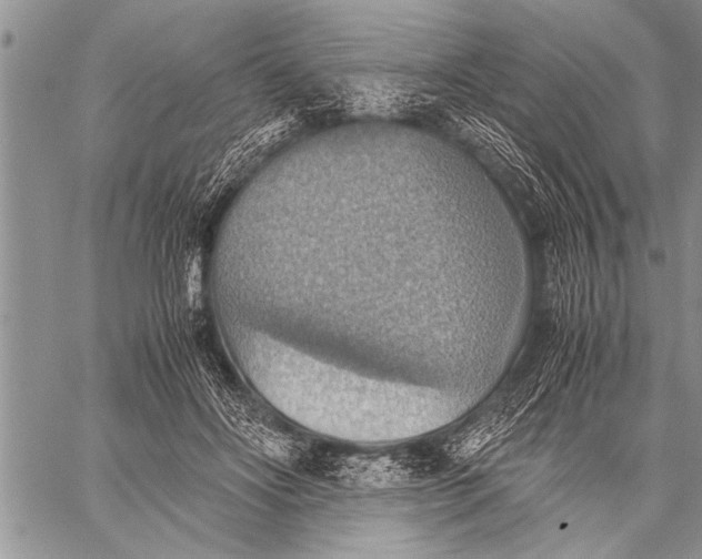 X0000058130502200510171340