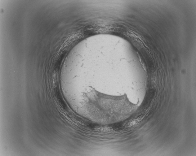 X0000058130503200510171340