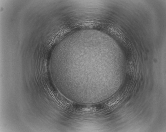 X0000058130504200510171340