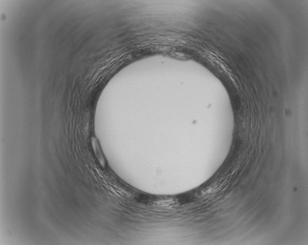 X0000058130505200510171340