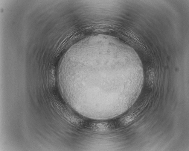 X0000058130506200510171340