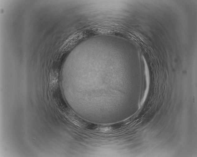 X0000058130507200510171340