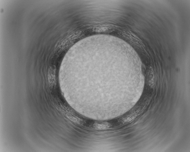 X0000058130510200510171340