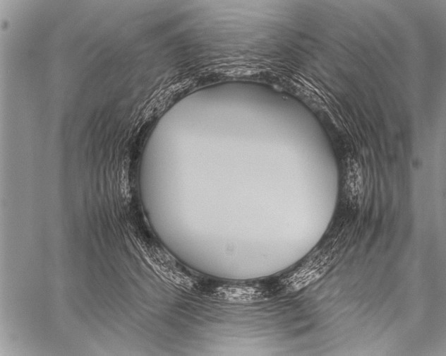 X0000058130512200510171340