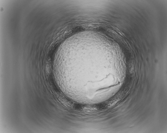 X0000058130515200510171340