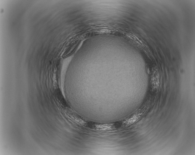 X0000058130516200510171340