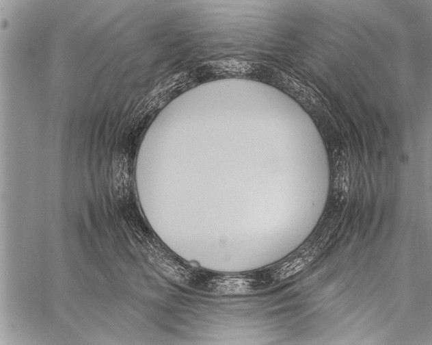 X0000058130518200510171339