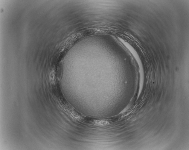 X0000058130520200510171339