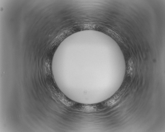 X0000058130522200510171339