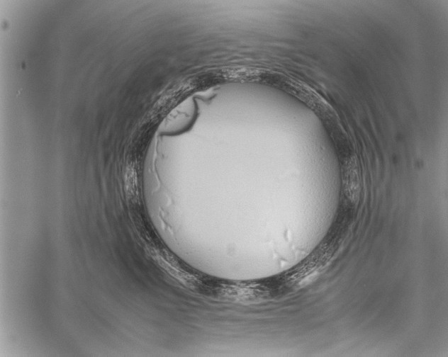 X0000058130523200510171339