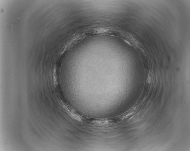 X0000058130524200510171339