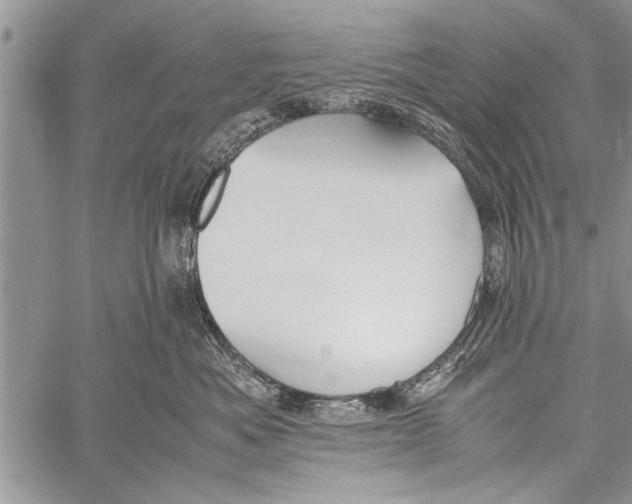 X0000058130525200510171339