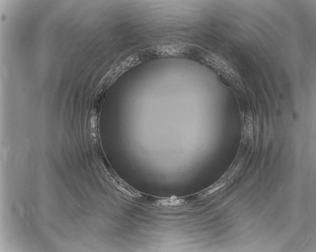 X0000058130526200510171339