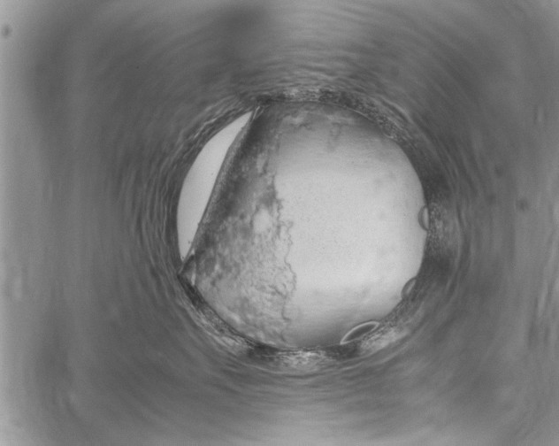 X0000058130527200510171339