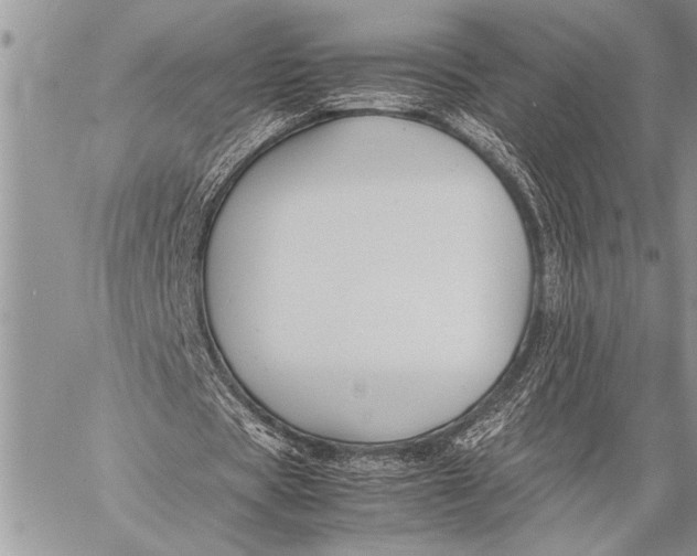 X0000058130529200510171339