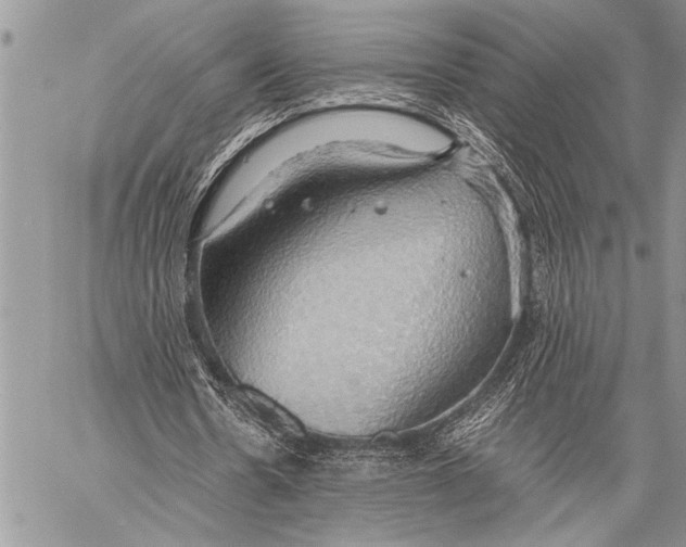 X0000058130530200510171339