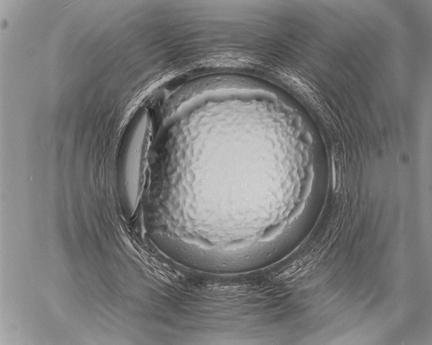 X0000058130531200510171339