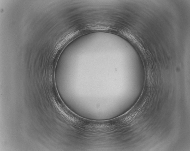 X0000058130533200510171339