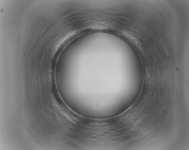 X0000058130535200510171339