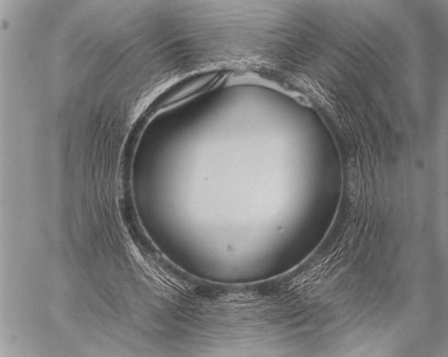 X0000058130536200510171339