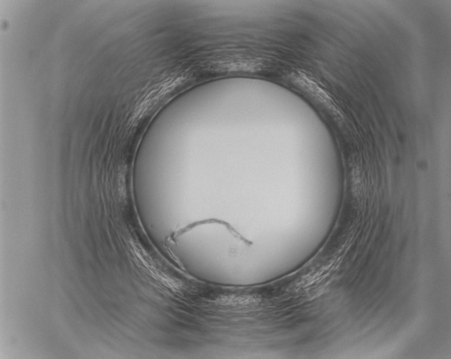 X0000058130537200510171339