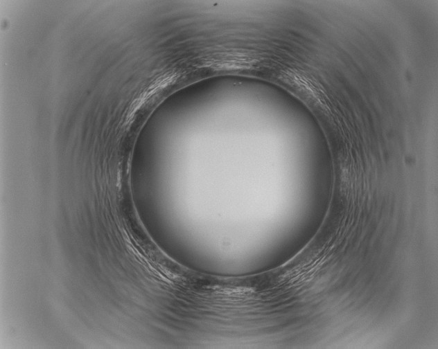 X0000058130539200510171339