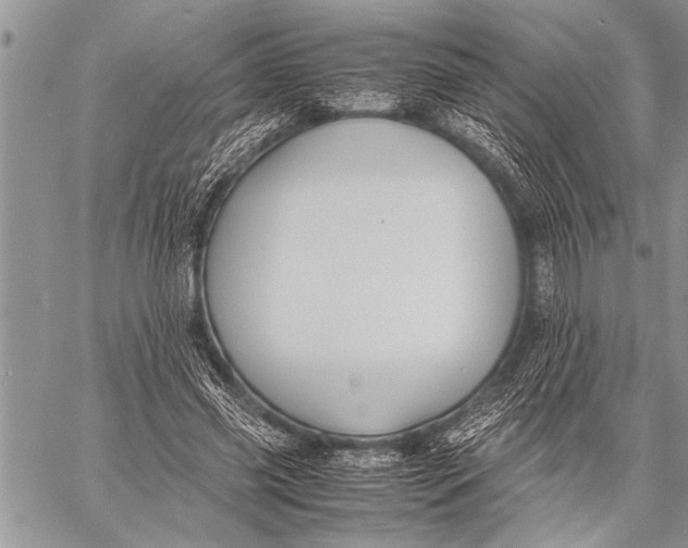 X0000058130541200510171339