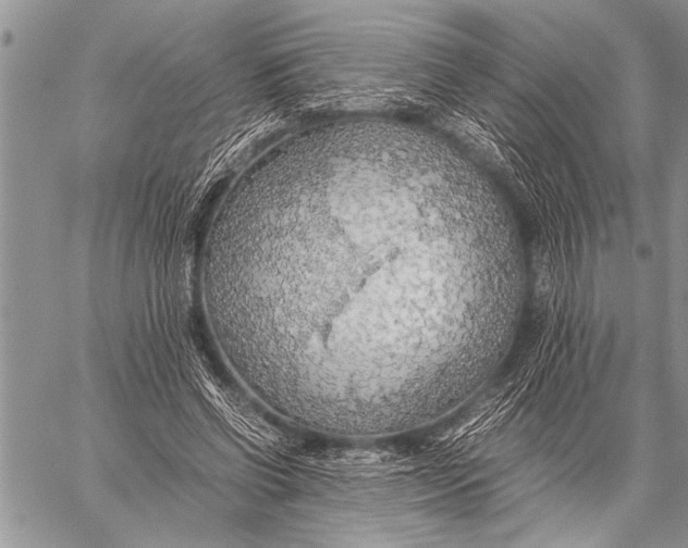 X0000058130542200510171339