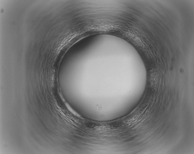 X0000058130544200510171339