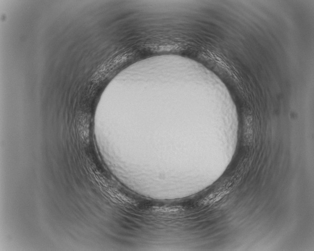 X0000058130545200510171339