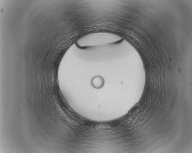 X0000058130546200510171339