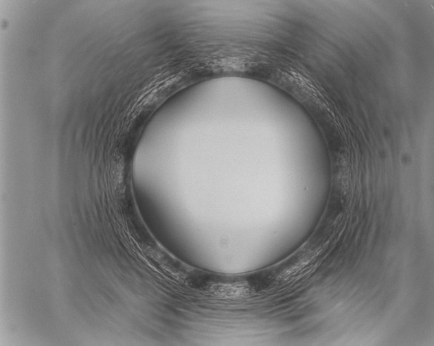 X0000058130548200510171339