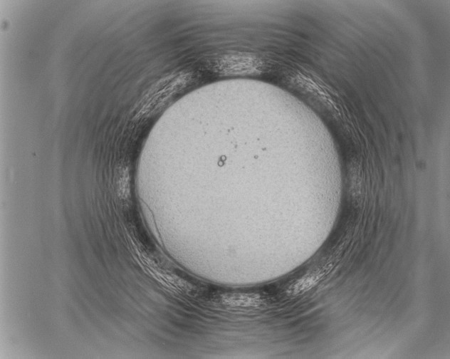 X0000058130549200510171339