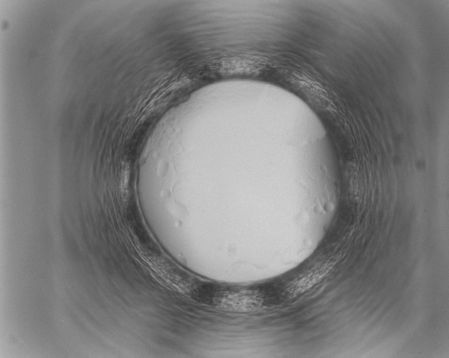 X0000058130550200510171339