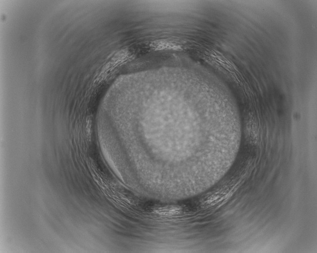 X0000058130551200510171339