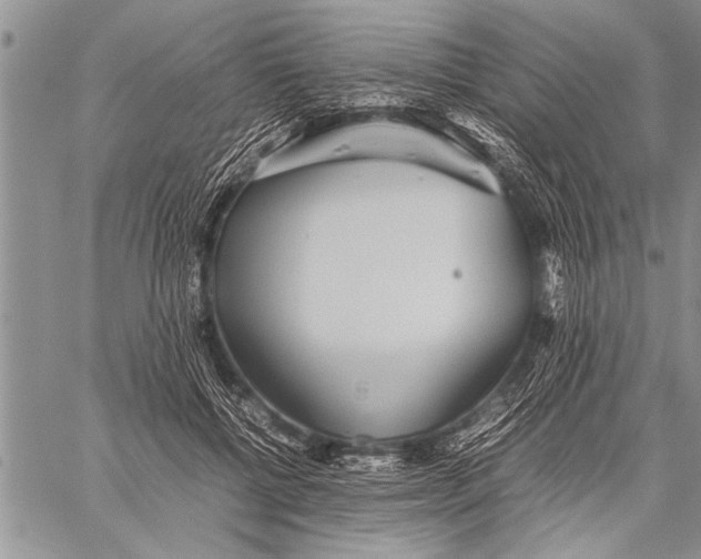 X0000058130552200510171339