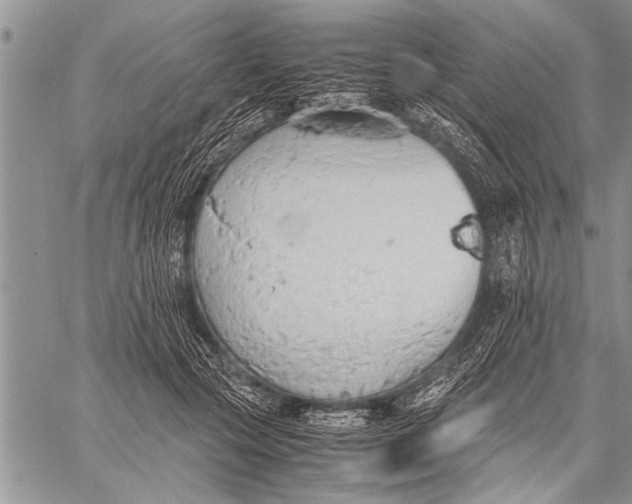 X0000058130553200510171339