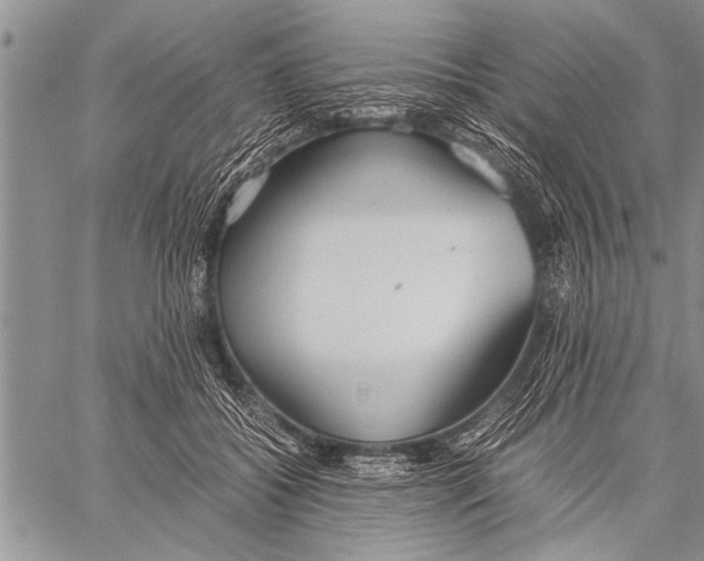 X0000058130556200510171339