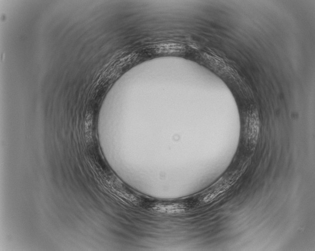 X0000058130557200510171339