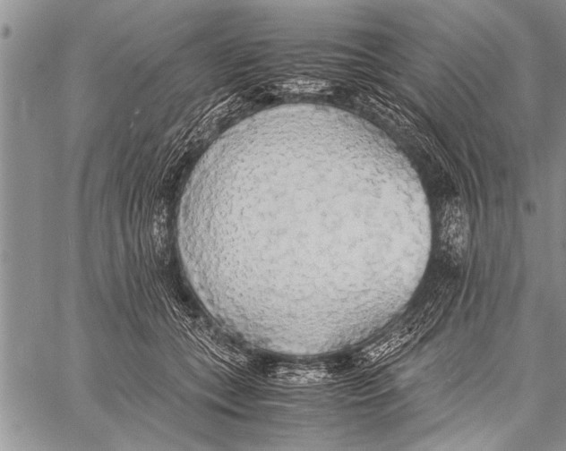 X0000058130559200510171339