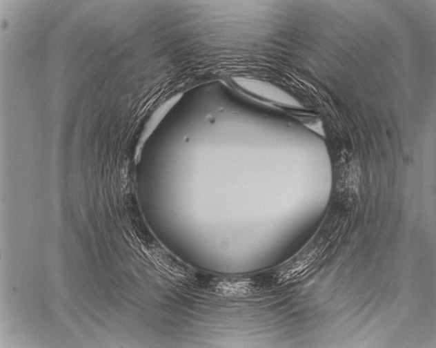 X0000058130560200510171339