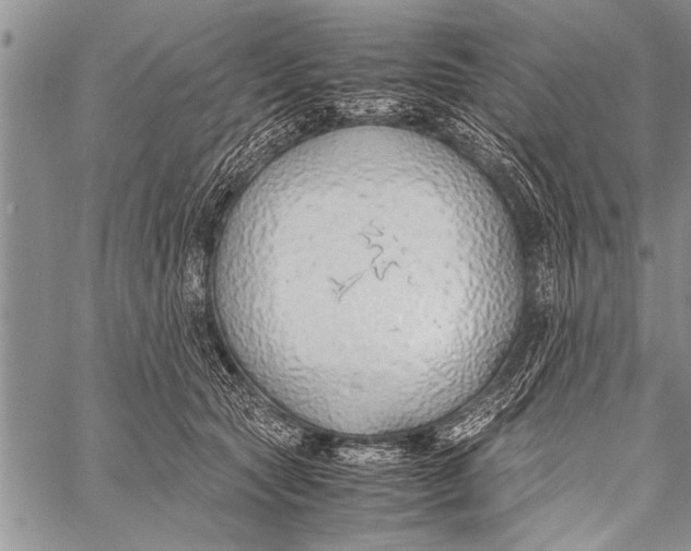 X0000058130561200510171339