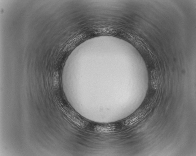 X0000058130563200510171339