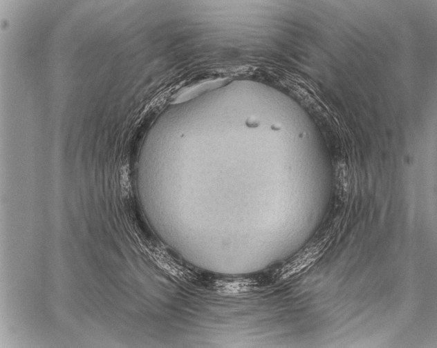 X0000058130564200510171339